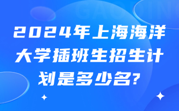 2024年上海海洋大学插班生招生计划是多少名?