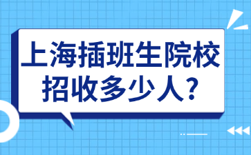 上海插班生院校招收多少人?